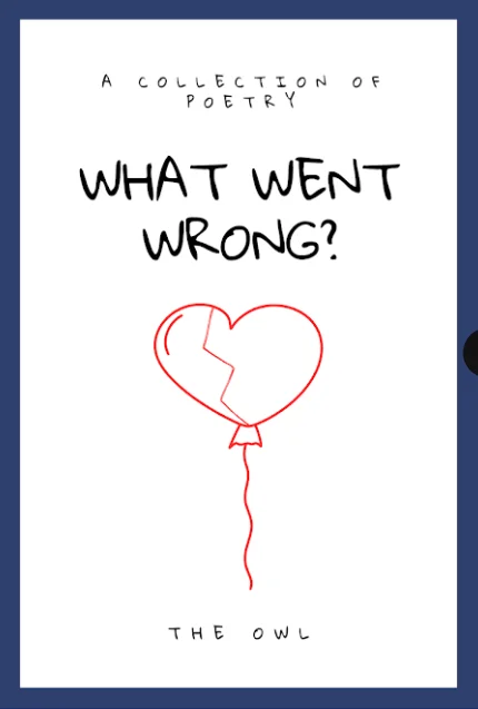 What Went Wrong