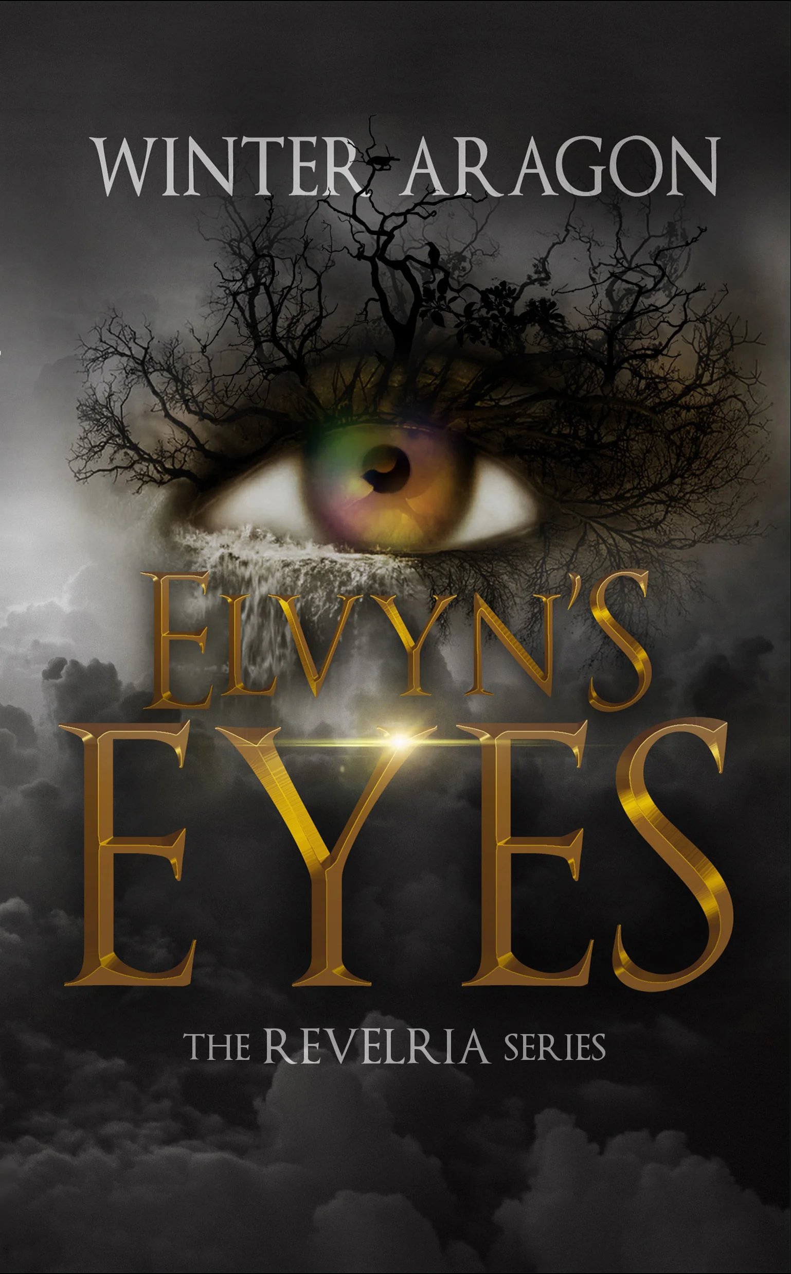 Elvyn’s Eyes